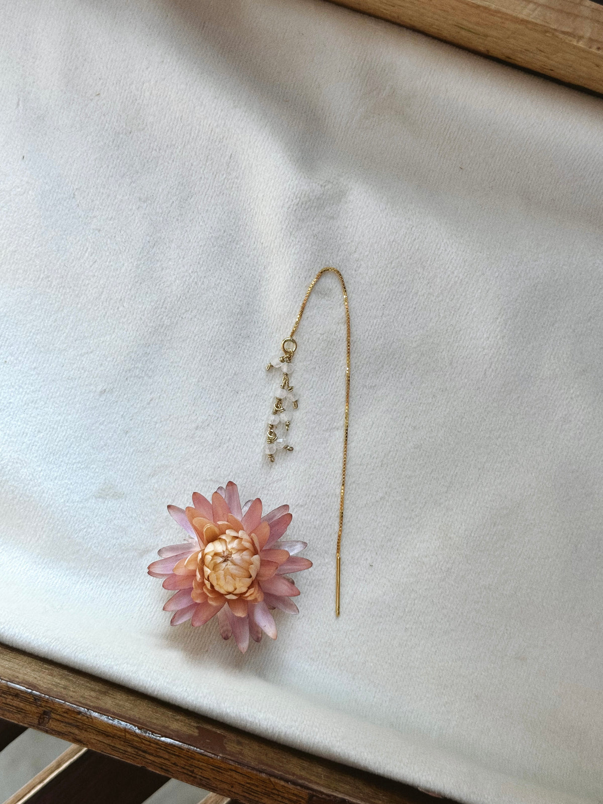 Sbrilluccica